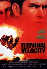 Terminal Velocity