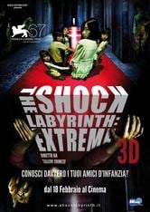 The Shock Labyrinth. Extreme 3D