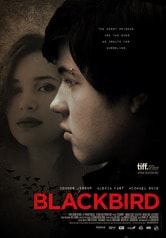 Blackbird