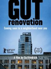 Gut Renovation