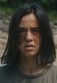 Cassandra Naud