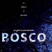 Visioni indipendenti: BOSCO (2018) di Luca Bertossi (regia) e Roberto Ricci (soggetto)