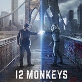 12 Monkeys