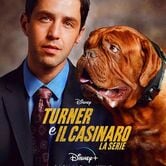 Turner e il casinaro - La serie