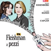 Fleishman a pezzi