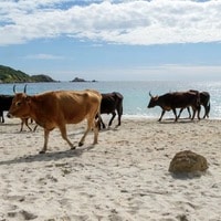 In sala: La vita va così - Le buone intenzioni possono bastare