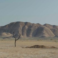 In sala: Un semplice incidente - Ipocrisia e ironia