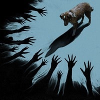 A noleggio: La recensione di Good Boy di Ben Leonberg 