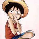 onepiecethetop1