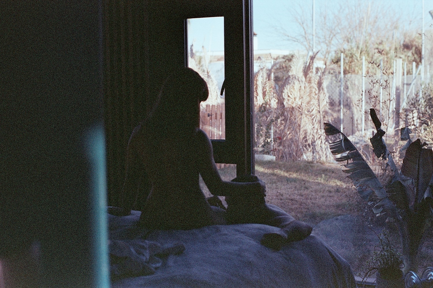 21 Paraiso film cielo