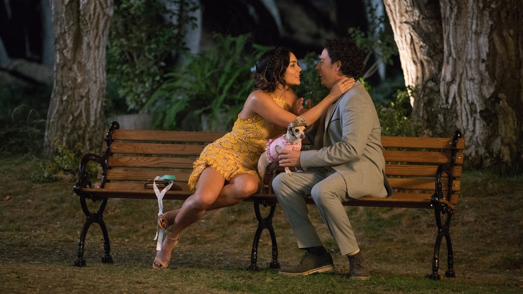 dog days film rai 3
