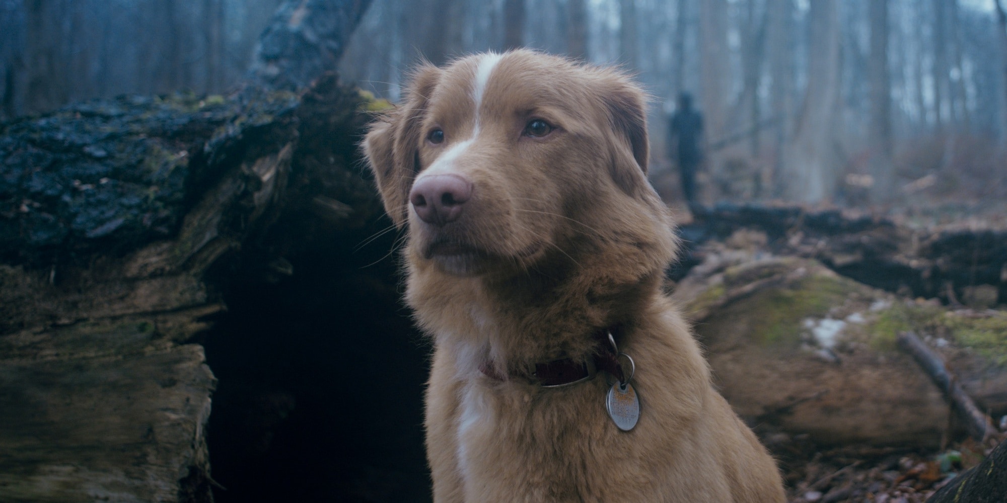 good boy film