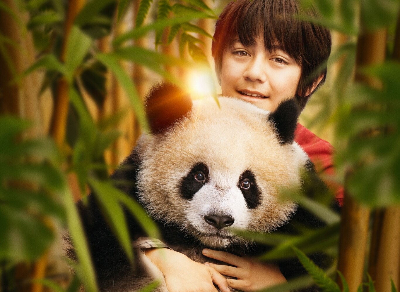 moon il panda film