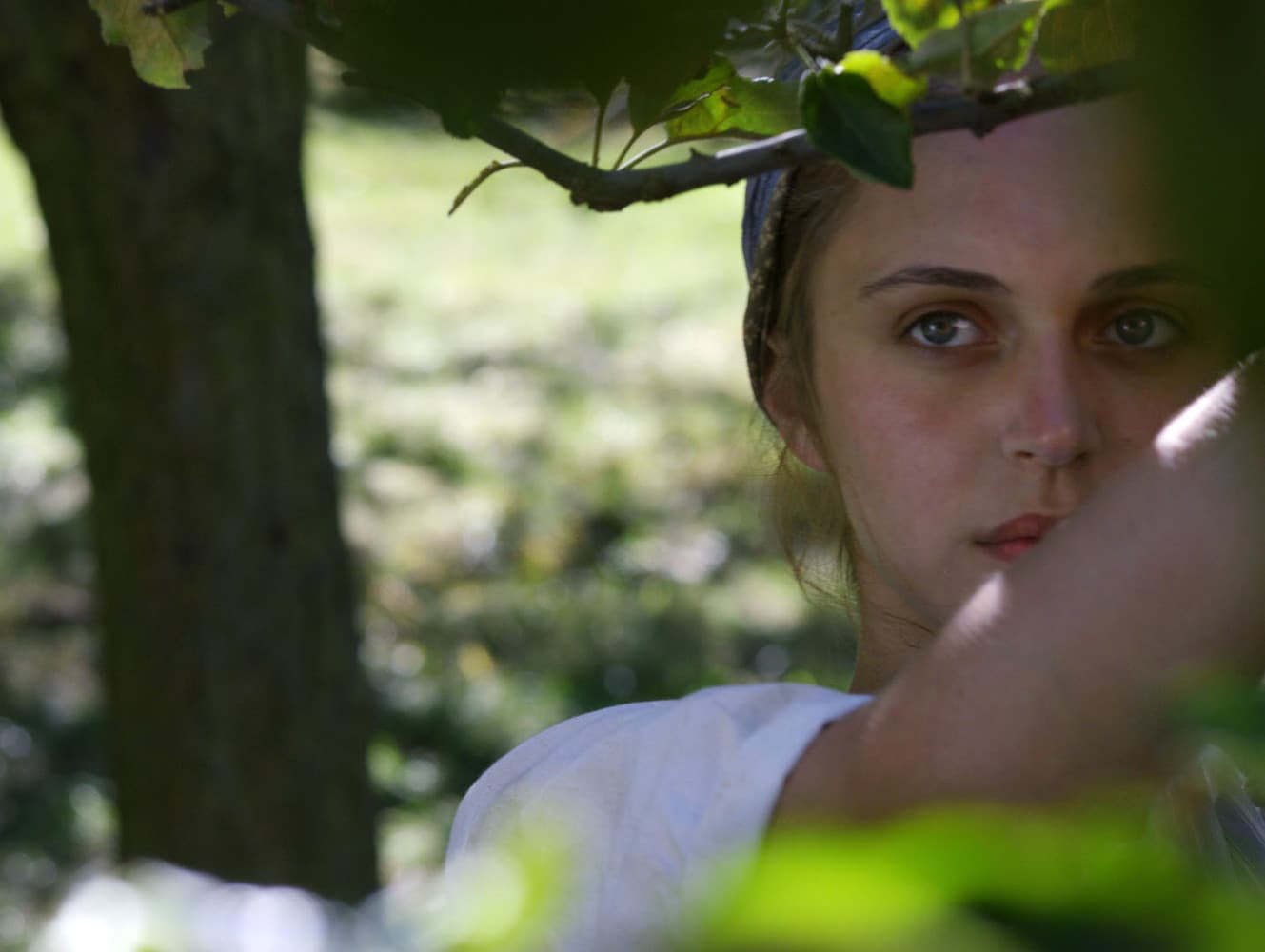 the sower film