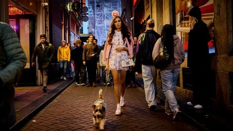 Amsterdam Empire: L’impero della cannabis nella serie Netflix