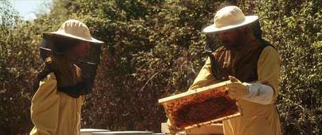 Eva: L’enigma di una donna in rottura