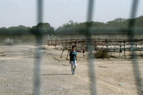 Of Dogs and Men: Di cani, uomini e 7 ottobre nel film di Rai 3