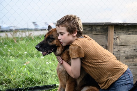 Palma un amore di cane: Nel film di Tv2000, una vera storia di fedeltà e speranza