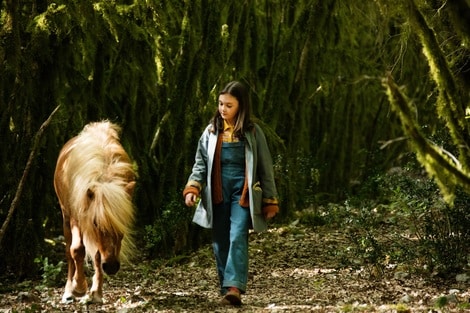 Poly: Il film di Rai 1, una favola moderna tra natura, libertà e riconciliazione 