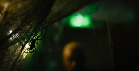 Vermin: Sopravvivere alla paura nel film di Rai 4 