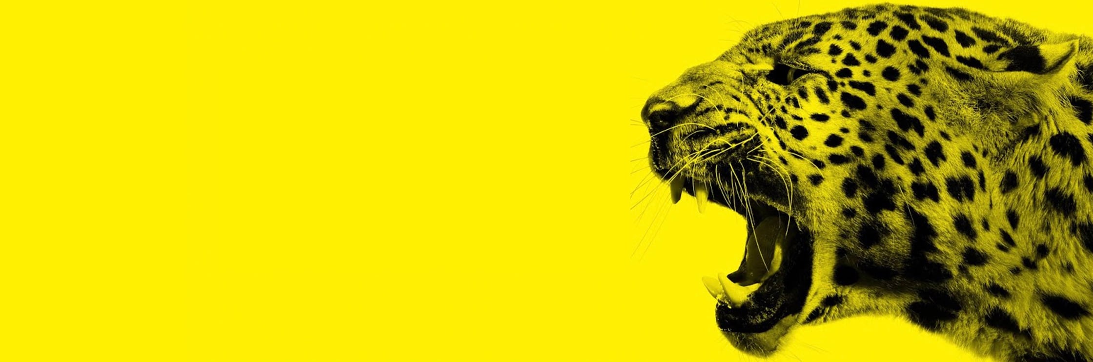 Festival di Locarno 2025